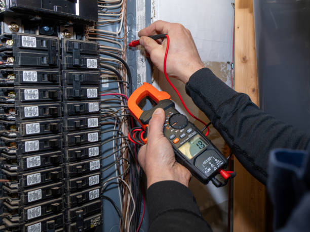 Best Electric Panel Repair  in Palmview South, TX