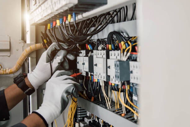 Best Affordable Electrician  in Palmview South, TX